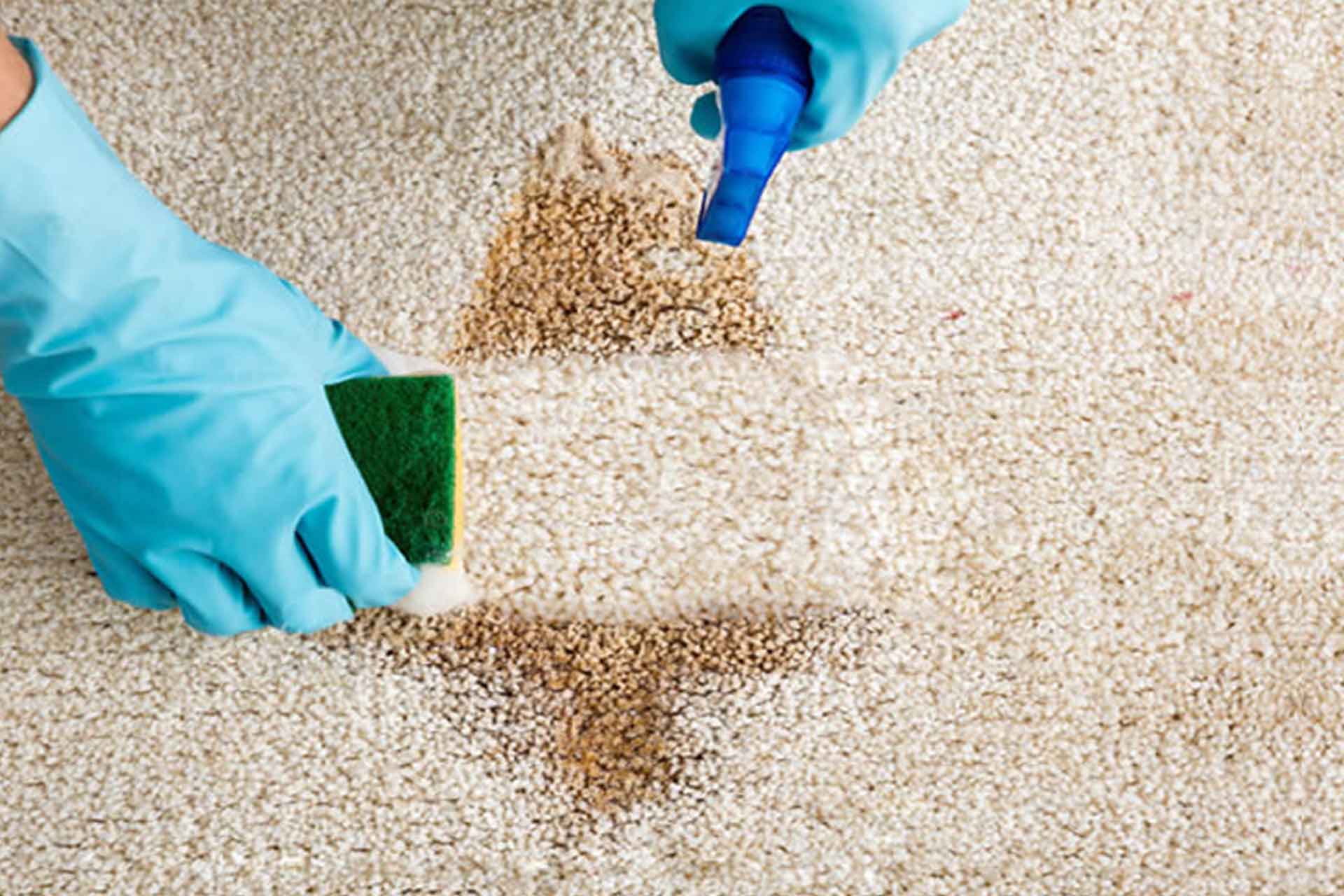 Limpeza de tapete. Casa Decor.